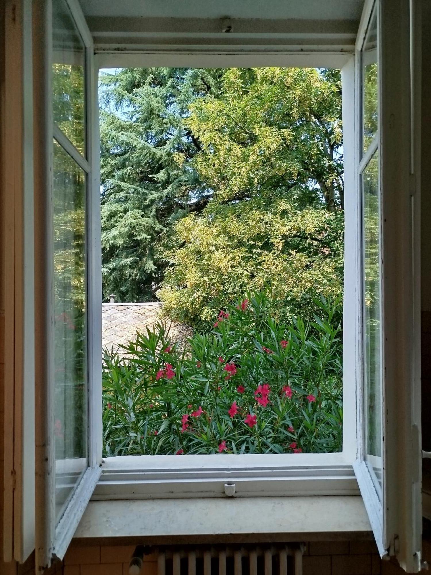 Del Nobile Apartment Τορίνο Εξωτερικό φωτογραφία
